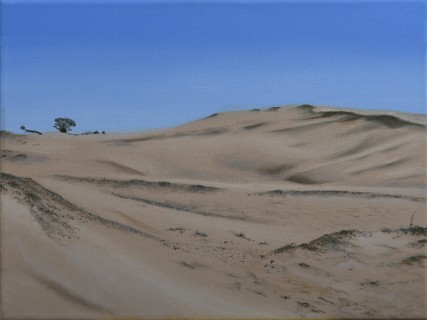 Dunas de Río Negro